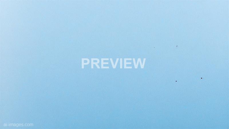 freepik__closeup-of-a-blank-cornflower-blue-paper-texture-m__42419_250928021637_00001