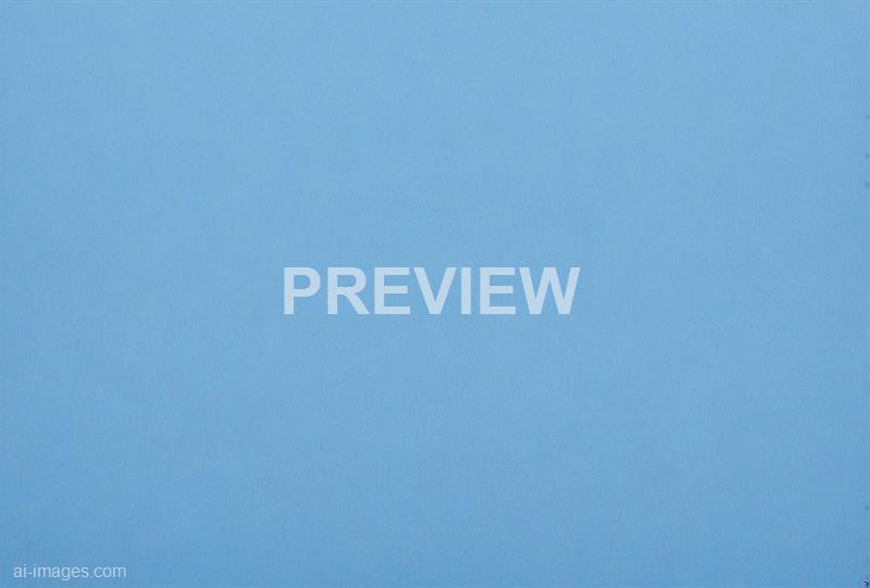 freepik__closeup-panorama-of-a-clean-cornflower-blue-paper-__94726_250928022617_00001