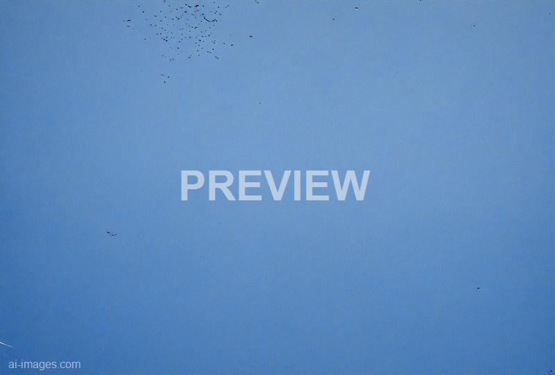 freepik__closeup-of-a-cornflower-blue-painted-wall-with-a-r__56374_250928021935_00001