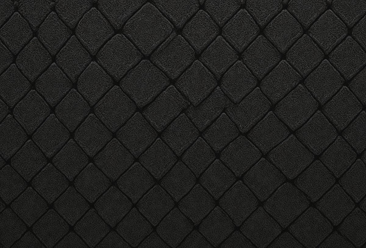 0b333912-4146-4fca-b579-d6292b9190a2-freepik__panorama-of-new-black-carpet-fabric-texture-and-ba__98805_250525210538_00001.png