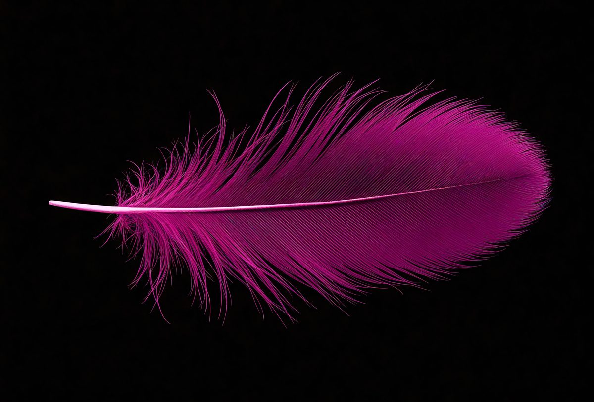 0caf9bcd-9a82-4289-829c-e3a203b71143-freepik__single-dark-magenta-feather-isolated-on-black-back__39092_251009204038_00001.png