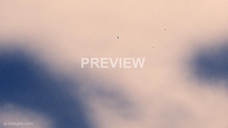 freepik__dark-blue-and-beige-photo-blurred-background-vecto__42212_250929162552_00001