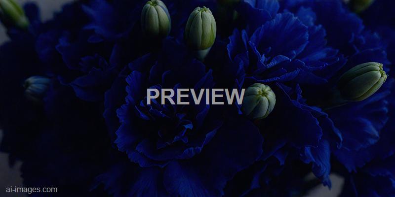 freepik__dark-blue-carnation-flowers-bouquet-soft-filter__41221_250929165114_00001