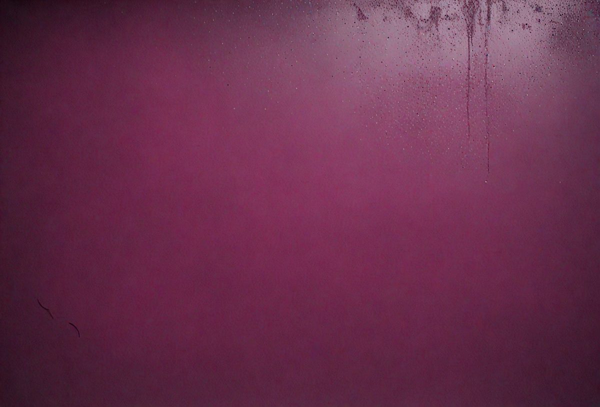 0e5a3641-2670-423b-b3f4-8a1742d71f7a-freepik__dark-magenta-concrete-wall-as-background__12958_251008012042_00001.png