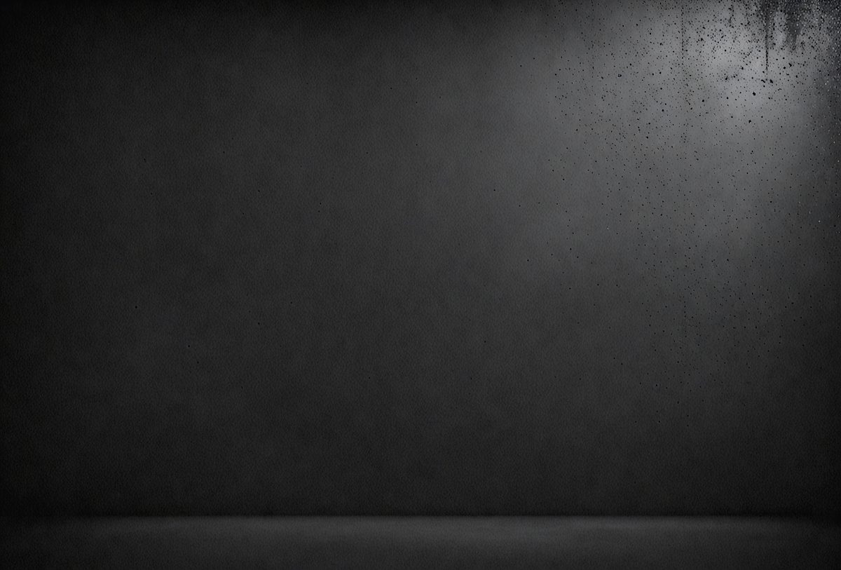 The primary subject of the image is a black wall with a gray background. The setting is a room with a black wall, and the visual style is a black and white photo. The dominant colors are black and gray, creating a moody atmosphere.