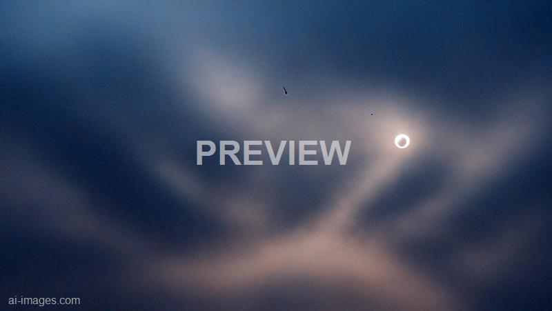 freepik__dark-blue-and-beige-photo-blurred-background-vecto__42211_250929162546_00001