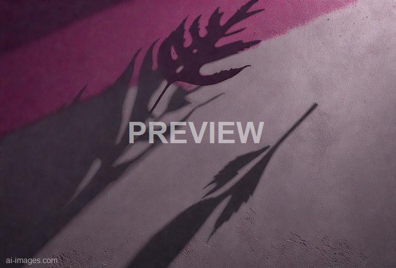 freepik__leaf-shadows-on-a-cement-dark-magenta-background-i__38727_251009135909_00001