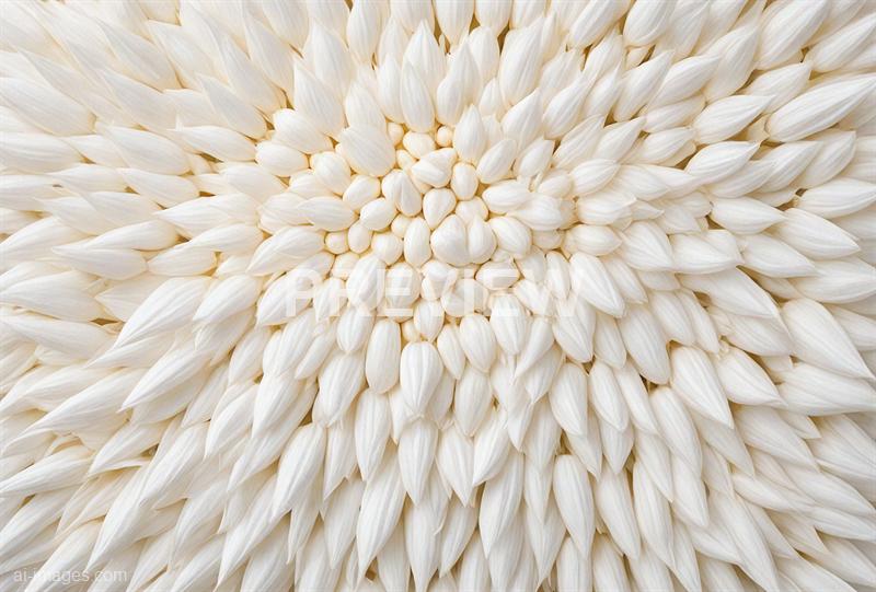 freepik__white-paper-texture-clean-corn-flower-background__43998_250928094214_00001