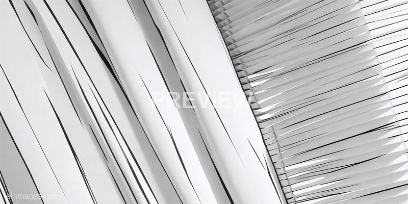 freepik__comic-style-blinds-shade-on-a-white-wall-backgroun__33723_250520192714_white_00001