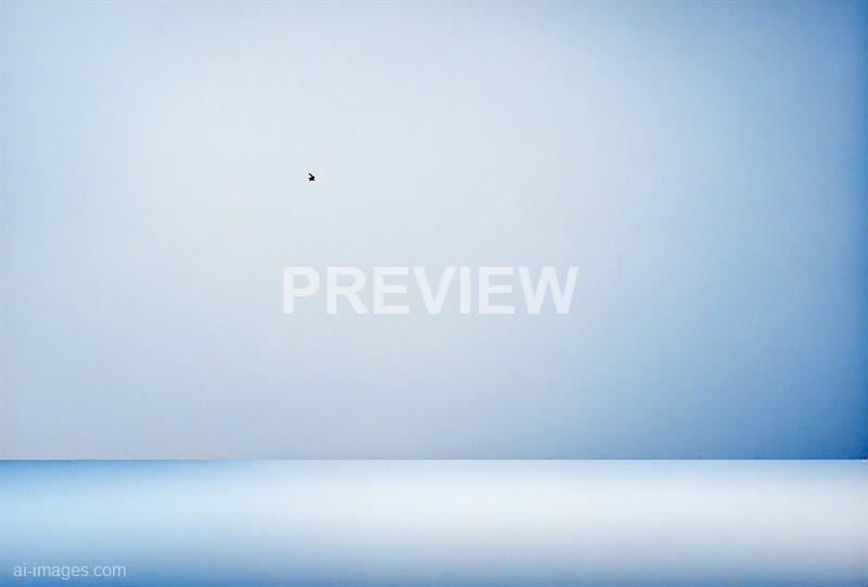 freepik__simple-white-wide-screen-gradients-light-blurred-c__23837_250928091827_00001