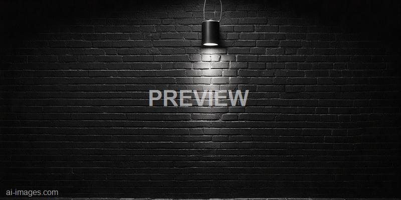 freepik__abstract-image-of-spot-lighting-with-black-brick-w__11387_250524092148_00001