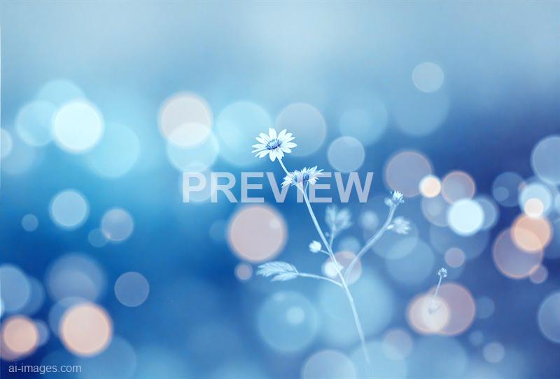 freepik__abstract-light-corn-flower-blue-blurred-background__42384_250928015456_00001