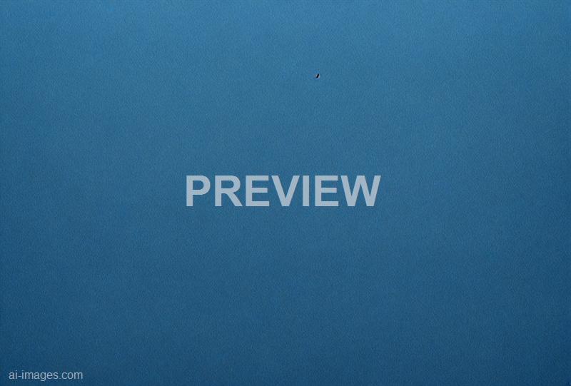freepik__blue-felt-texture-abstract-art-background-solid-co__57811_250524152109_00001