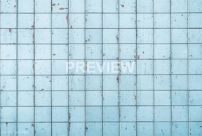 freepik__panorama-background-of-old-white-cornflower-blue-w__49508_250928091519_00001