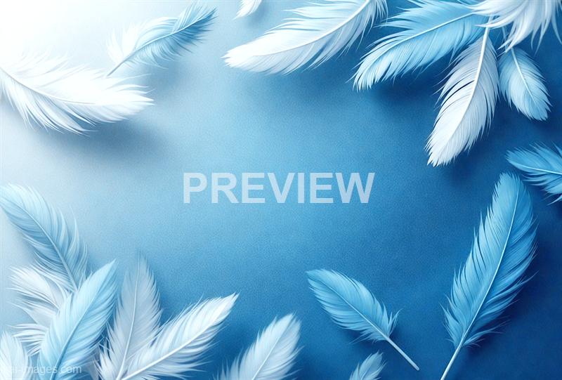 freepik__beautiful-abstract-light-dark-blue-feathers-on-whi__47812_250929153038_00001