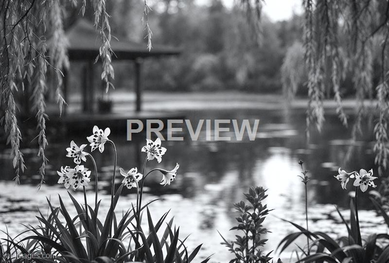 freepik__the-style-is-candid-image-photography-with-natural__67188_250523103452_00001