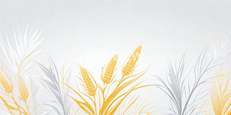 freepik__modern-halftone-white-and-clean-corn-flower-backgr__43984_250928090946_00001