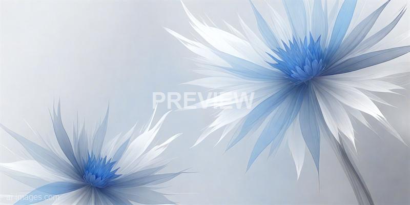 freepik__white-cornflower-blue-and-grey-abstract-modern-tra__49452_250928093921_00001