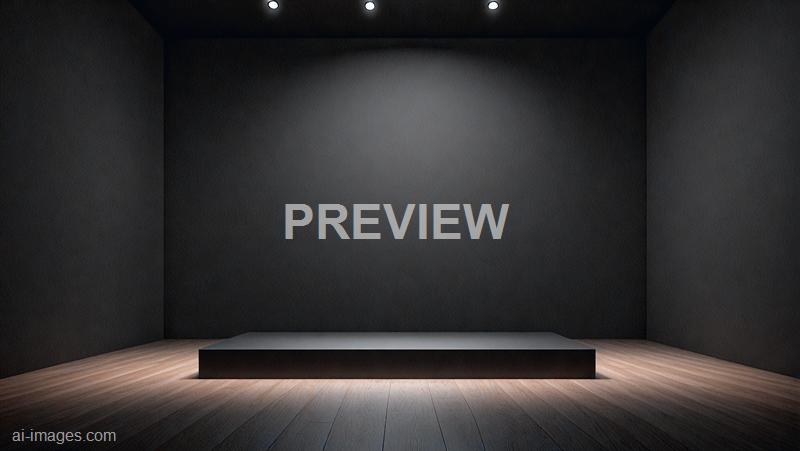 freepik__pedestal-of-platform-display-with-black-stand-podi__11903_250525210629_00001