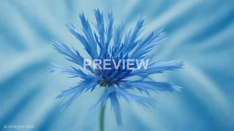 freepik__35mm-film-photography-cornflower-blue-paper-textur__96244_250928011617_00001