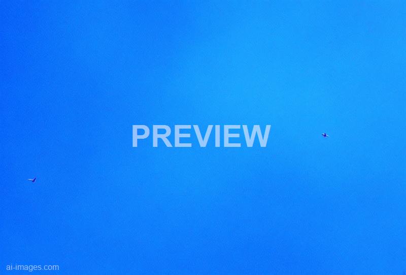 freepik__abstract-blue-background-for-template__7589_250524054942_00001