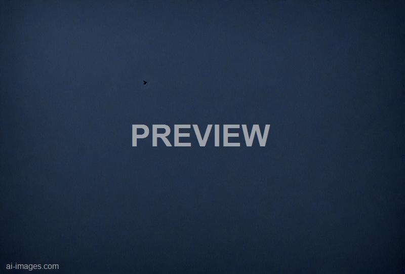 freepik__dark-blue-background-at-the-wedding__40555_250929163137_00001