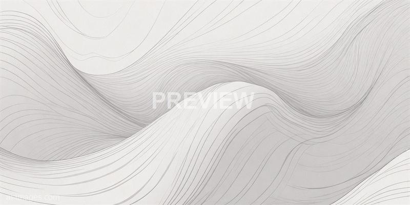freepik__sketch-lines-abstract-white-and-light-gray-wave-mo__34079_250520101535_white_00001