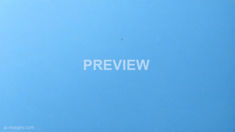 freepik__cornflower-blue-paper-texture-background-with-subt__96240_250928023516_00001