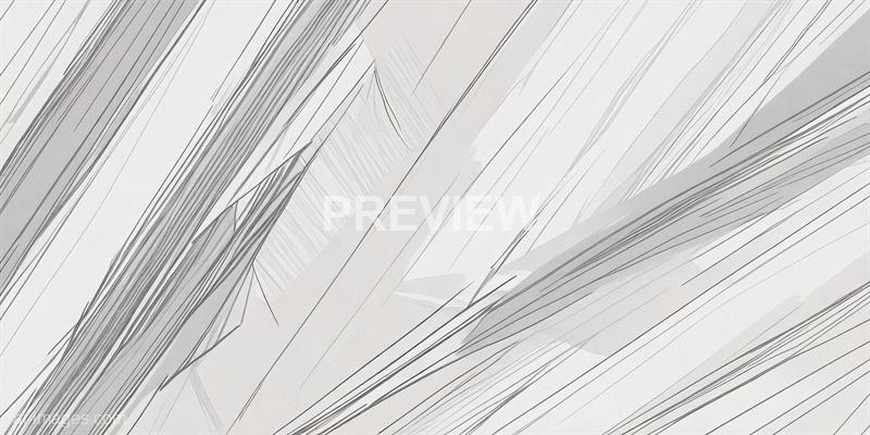 freepik__sketch-lines-abstract-elegant-white-and-gray-backg__61505_250520101333_white_00001