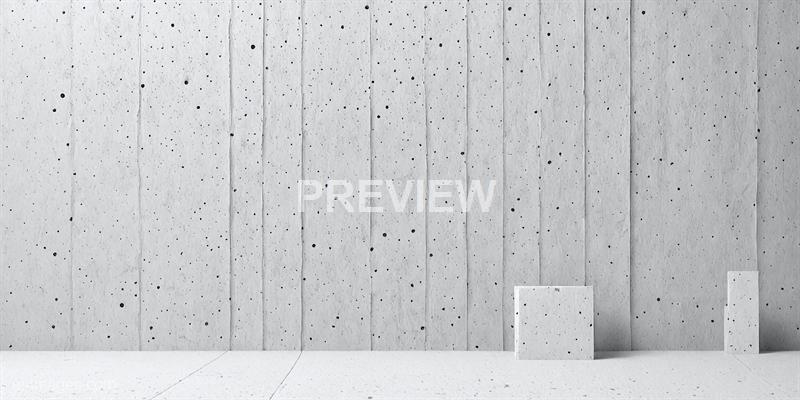 freepik__adorable-cartoon-style-blank-white-grunge-cement-w__33527_250519050917_white_00001