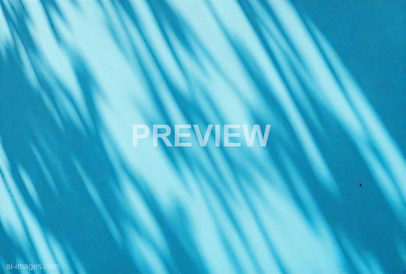 freepik__the-style-is-candid-image-photography-with-natural__89662_250928093026_00001