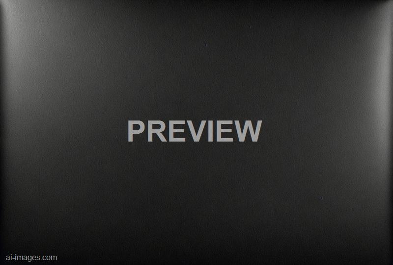 freepik__polished-black-leather-with-fine-grain-forming-a-s__75094_250525210842_00001