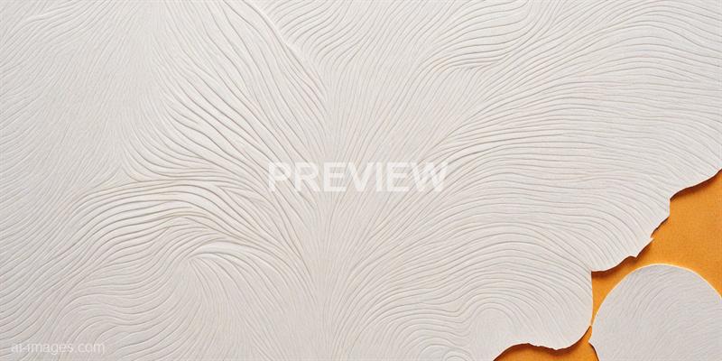 freepik__70s-white-paper-texture-background-close-up-style-__84299_250520170933_white_00001