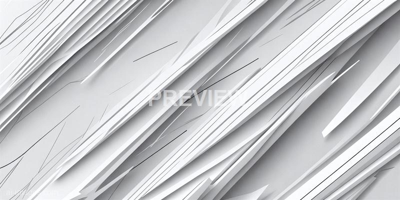 freepik__sketch-lines-abstract-white-monochrome-vector-back__73363_250520101649_white_00001