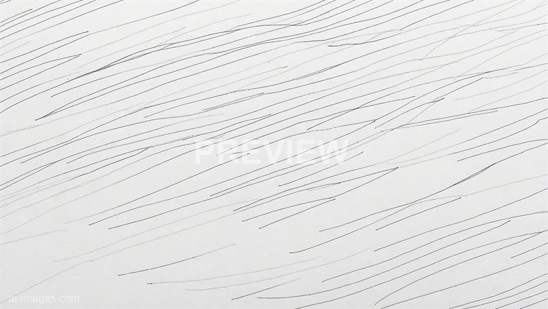 freepik__sketch-lines-white-paper-texture-background-close-__84355_250520102909_white_00001