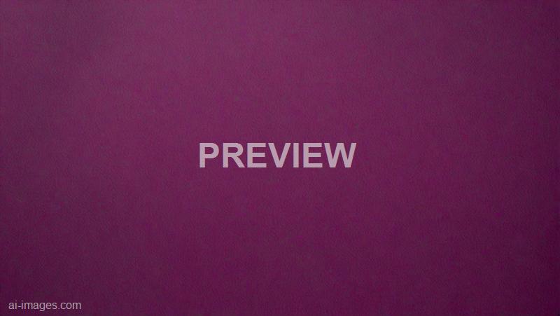 freepik__texture-of-dark-magenta-wall__7365_251009205209_00001