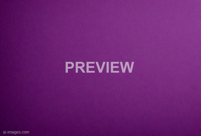 freepik__fabric-dark-magenta-canvas-blank-for-painting-work__12938_251009133558_00001