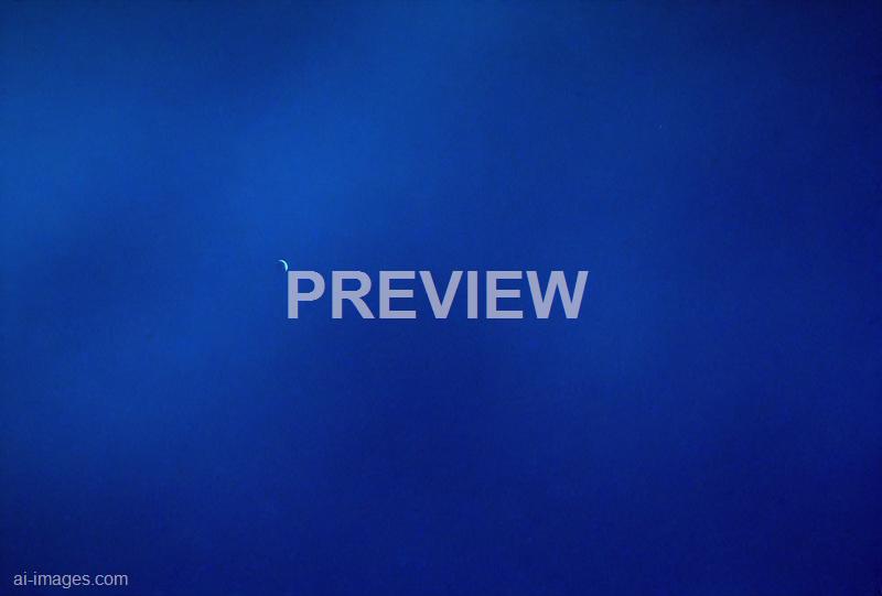 freepik__dark-blue-gradient-abstract-background__48262_250930002724_00001