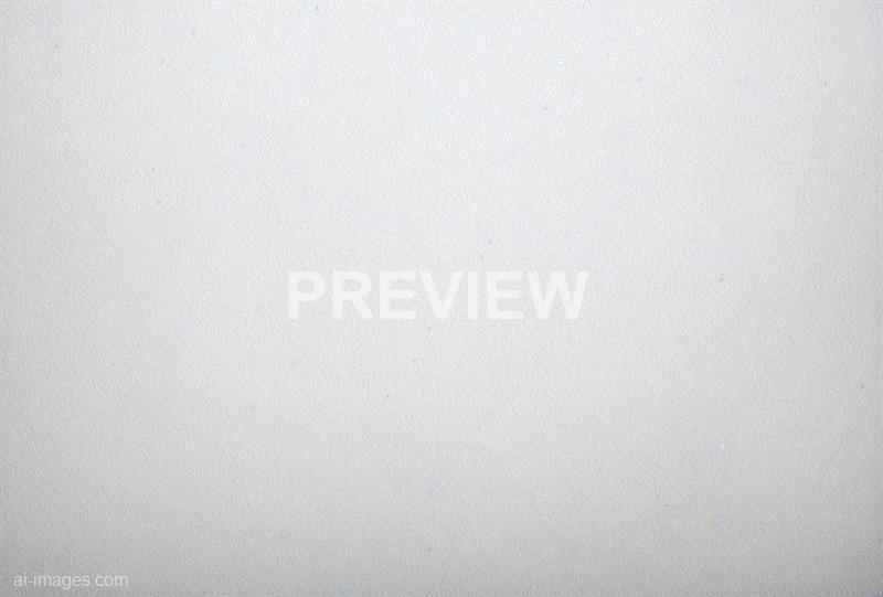 freepik__modern-flat-blank-white-grunge-cement-wall-texture__75017_250519214410_white_00001