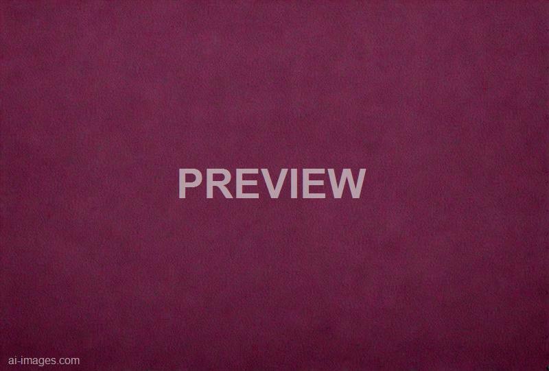 freepik__fabric-dark-magenta-canvas-blank-for-painting-work__12933_251009133524_00001