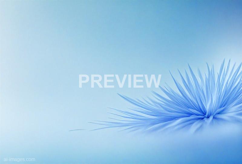 freepik__abstract-light-corn-flower-blue-blurred-background__21971_250928015424_00001