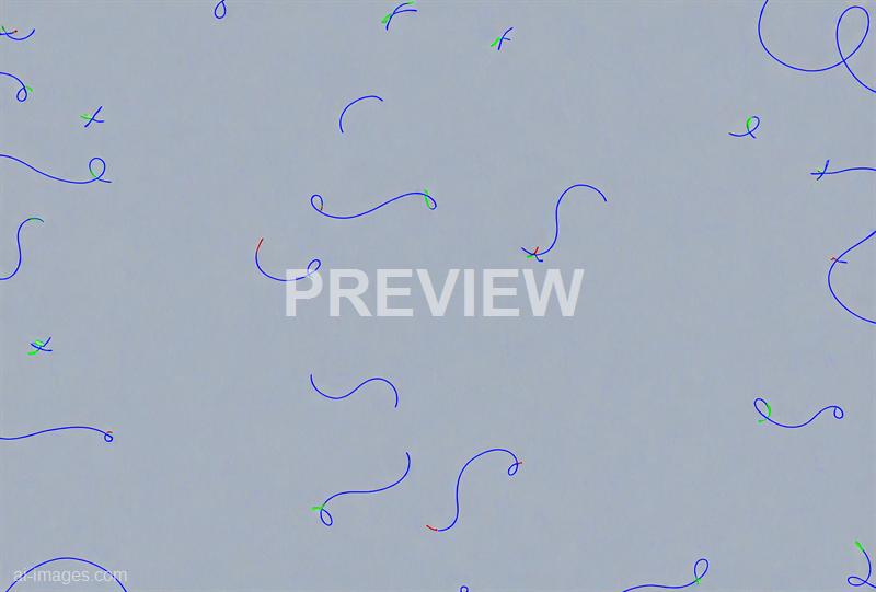 freepik__a-dark-blue-ribbons-isolated-on-a-white-background__41096_250929065741_00001