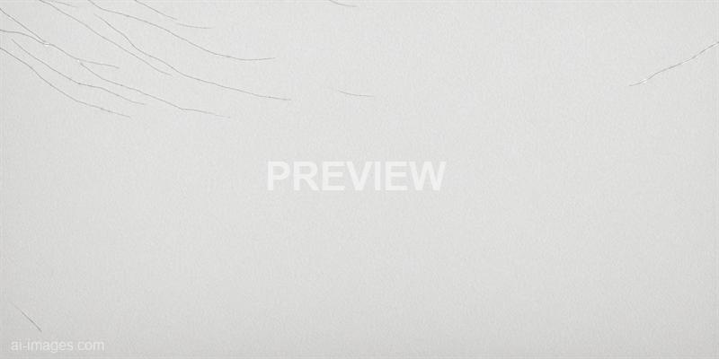 freepik__white-leather-texture-used-as-clean-corn-flower-ba__39842_250928094127_00001