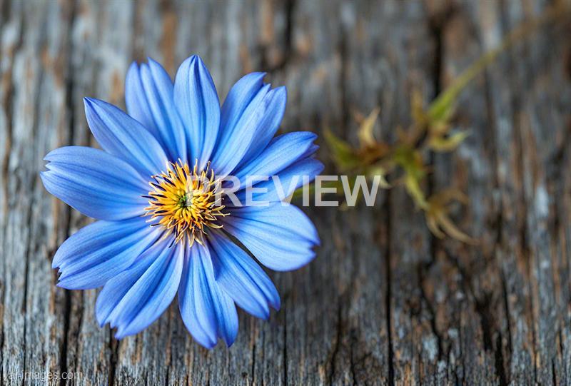 freepik__the-style-is-candid-image-photography-with-natural__72840_250928092853_00001