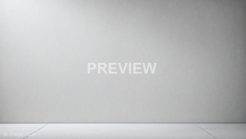 freepik__minimal-soft-studio-light-photography-white-concre__51090_250519175245_white_00001