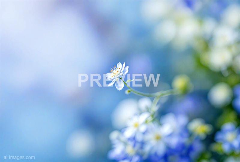 freepik__simple-white-wide-screen-gradients-light-blurred-c__23834_250928091815_00001
