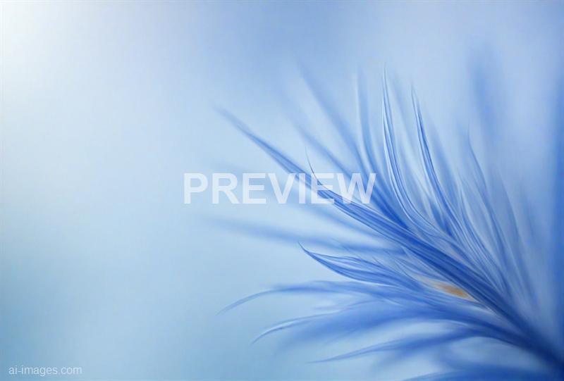 freepik__dynamic-minimal-blank-corn-flower-blue-stripe-text__72101_250928085147_00001