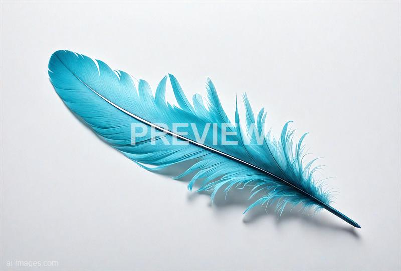 freepik__a-cyan-feather-floating-gently-above-white-backdro__14224_250928180001_00001
