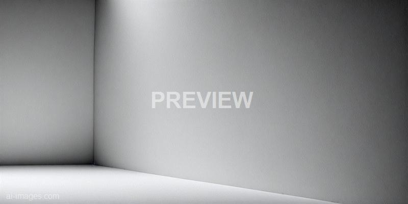 freepik__black-and-white-background-material-calm-black-bac__35651_250524135048_00001