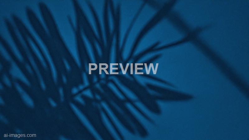 freepik__abstract-vertical-dark-blue-background-of-the-shad__47825_250929081616_00001